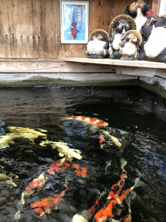 お客様の池
