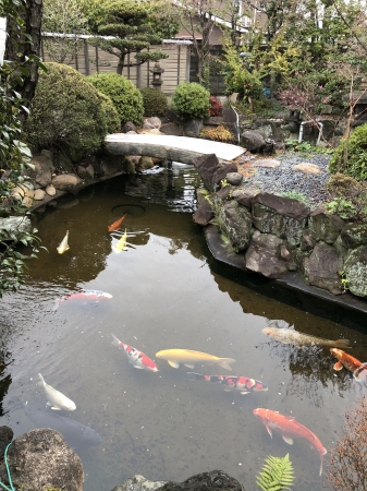 お客様の池