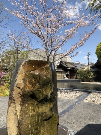 お客様の庭