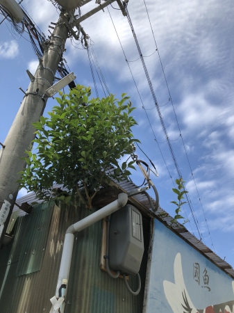 店舗外壁その1