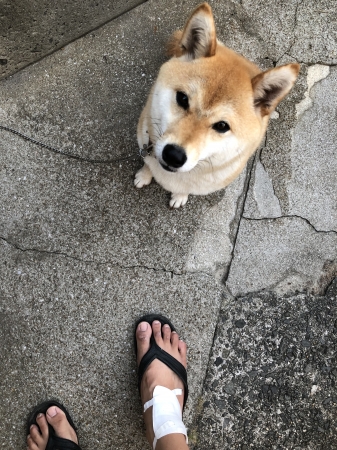 きな子