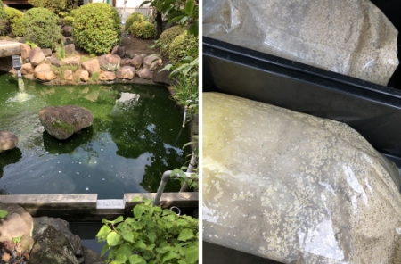 お客様の池