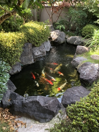 お客様の池