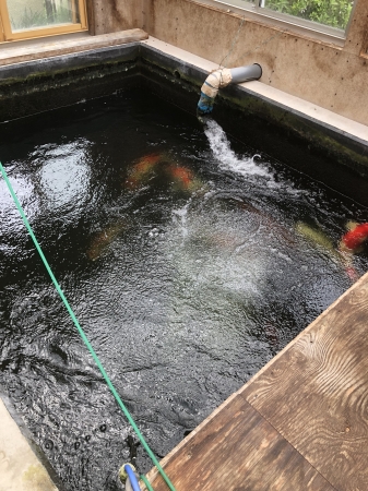 お客様の池