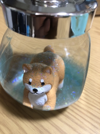 宿題