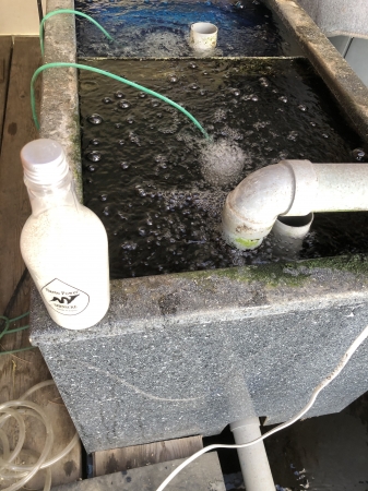 お客様の池