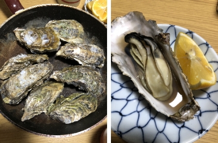 カキ