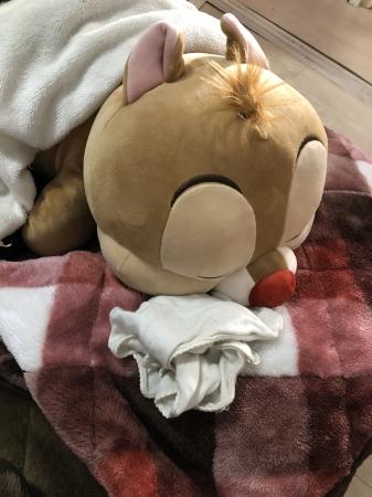 デールぬいぐるみ2