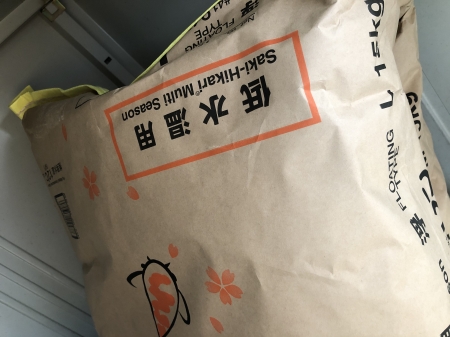 咲ひかり低水温用