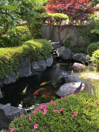 お客様の池
