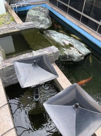お客様の池
