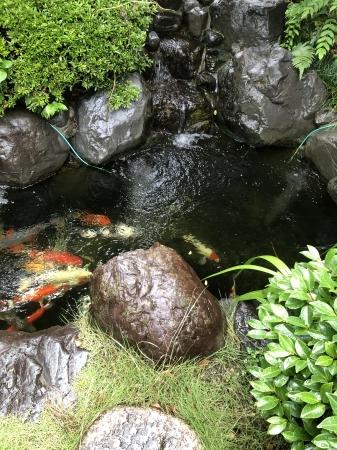 お客様の池