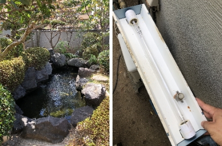 お客様の池