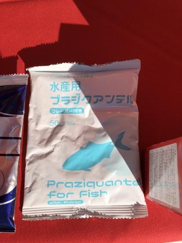 Bayer マゾテン 500g 魚用の通販 by M's shop｜ラクマ
