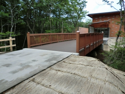 iriguchi