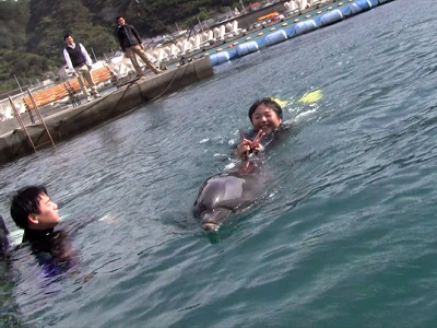 イルカと一緒に