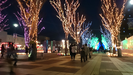 つくば光の森