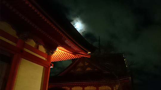 新年