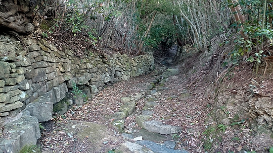 富田坂
