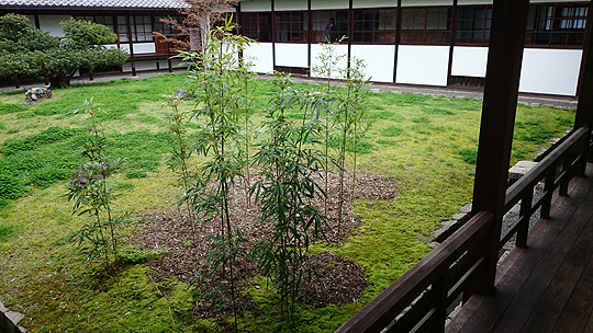 緑豊か
