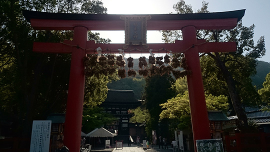 松尾大社