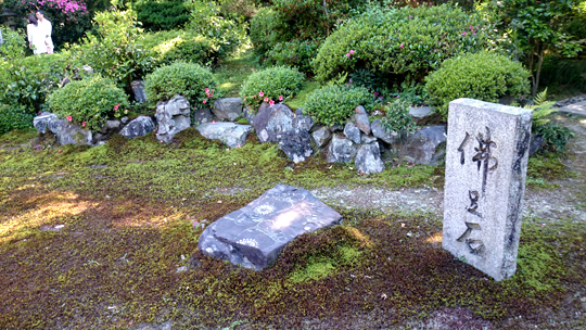 庭園