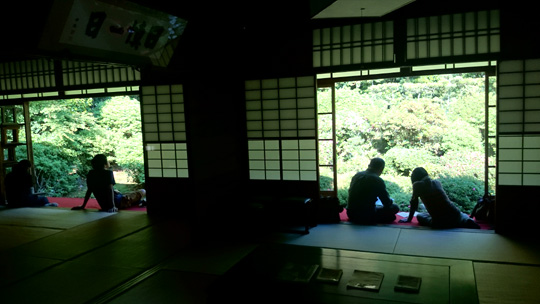 庭園と影