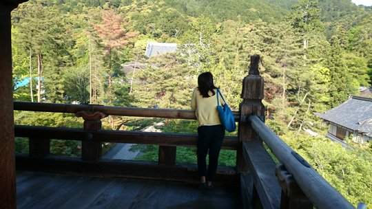 景色