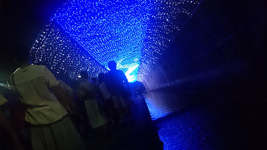 LED