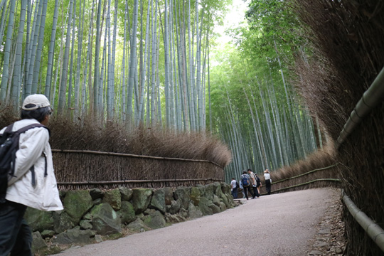 竹林