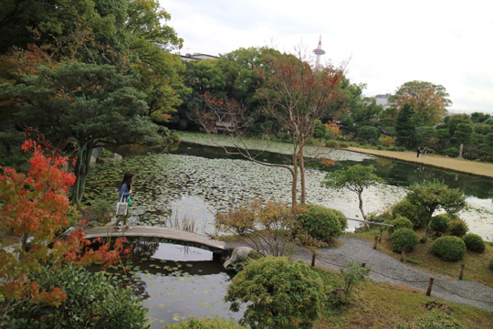 庭園