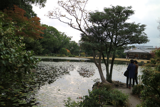 庭園