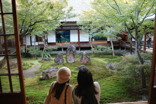 庭園