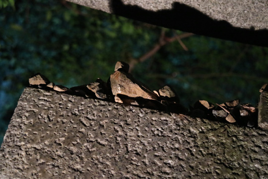 鳥居