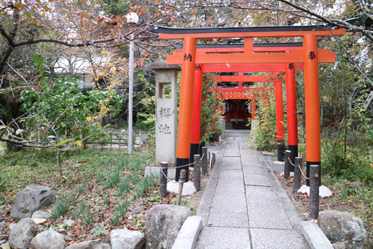 鳥居