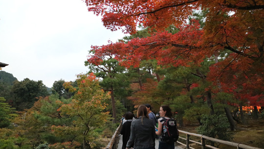紅葉