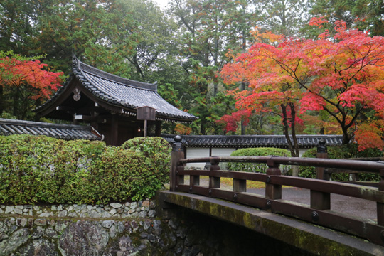 西芳寺