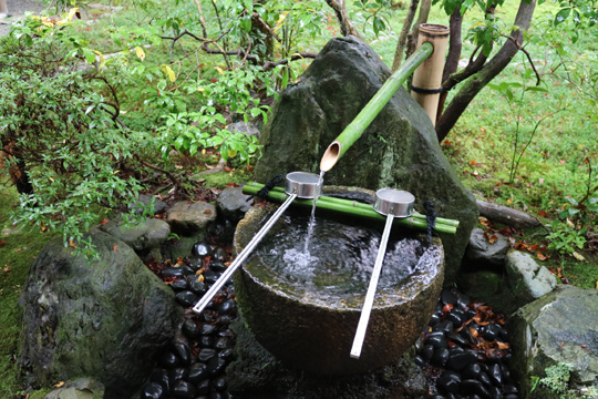 清めの水