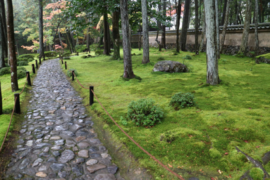 苔寺