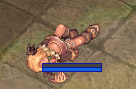 _no