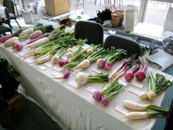 IFOF2010:野菜展示