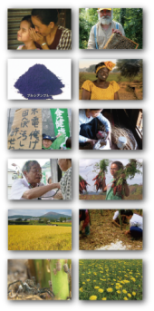 IFOF2012 上映作品カット