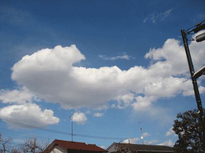 雲