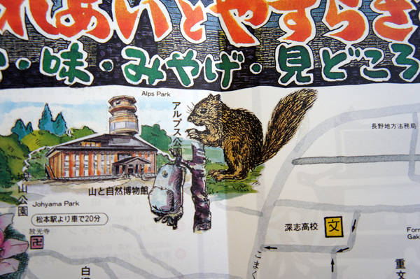 アルプス公園 長野 松本 リス