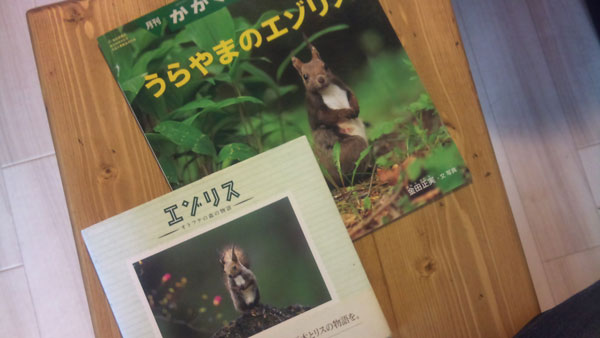 エゾリス