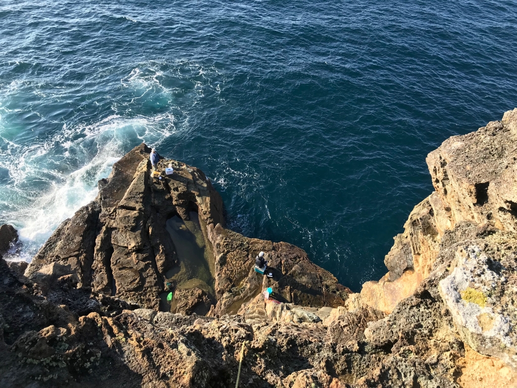 伊豆半島パーフェクト地磯ガイド 上下巻 伊豆半島パーフェクト地磯ガイド 上下巻 （伊豆半島