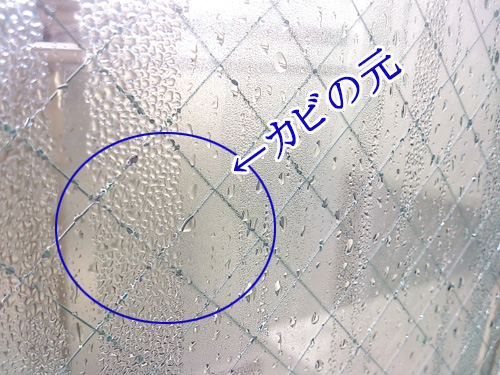 カビの原因になる結露