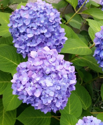 6。お休み