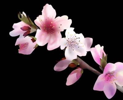 3月