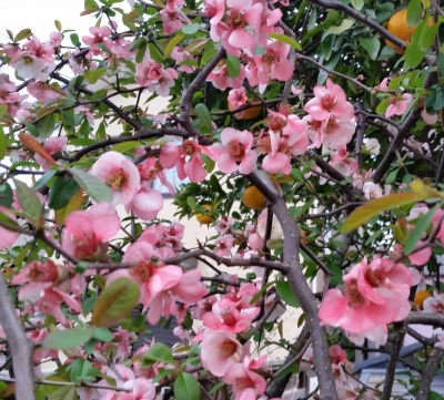 5月休み